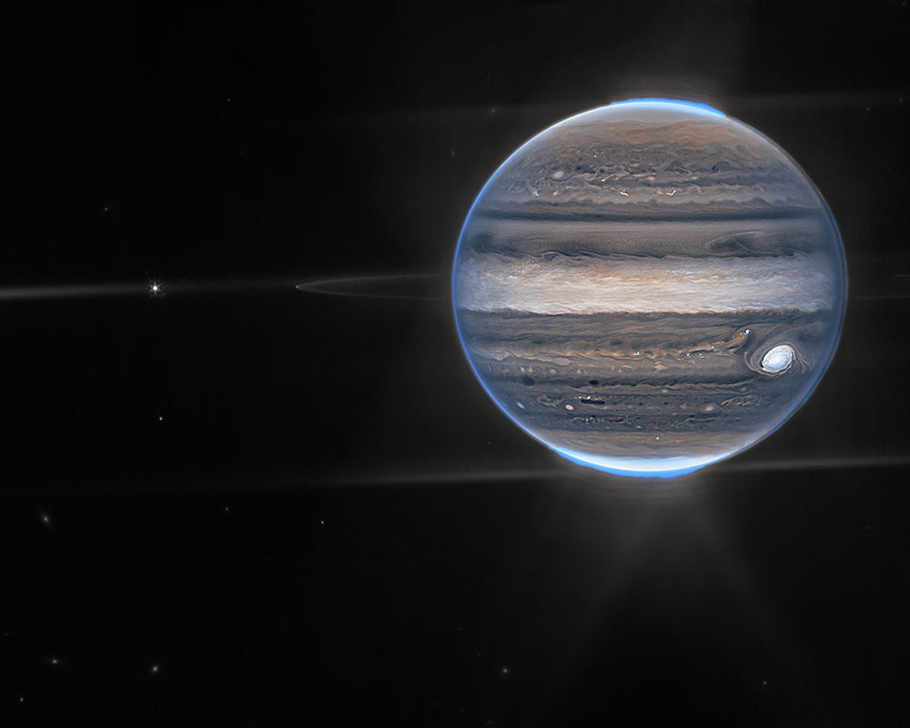 The Polar Auroras of Jupiter