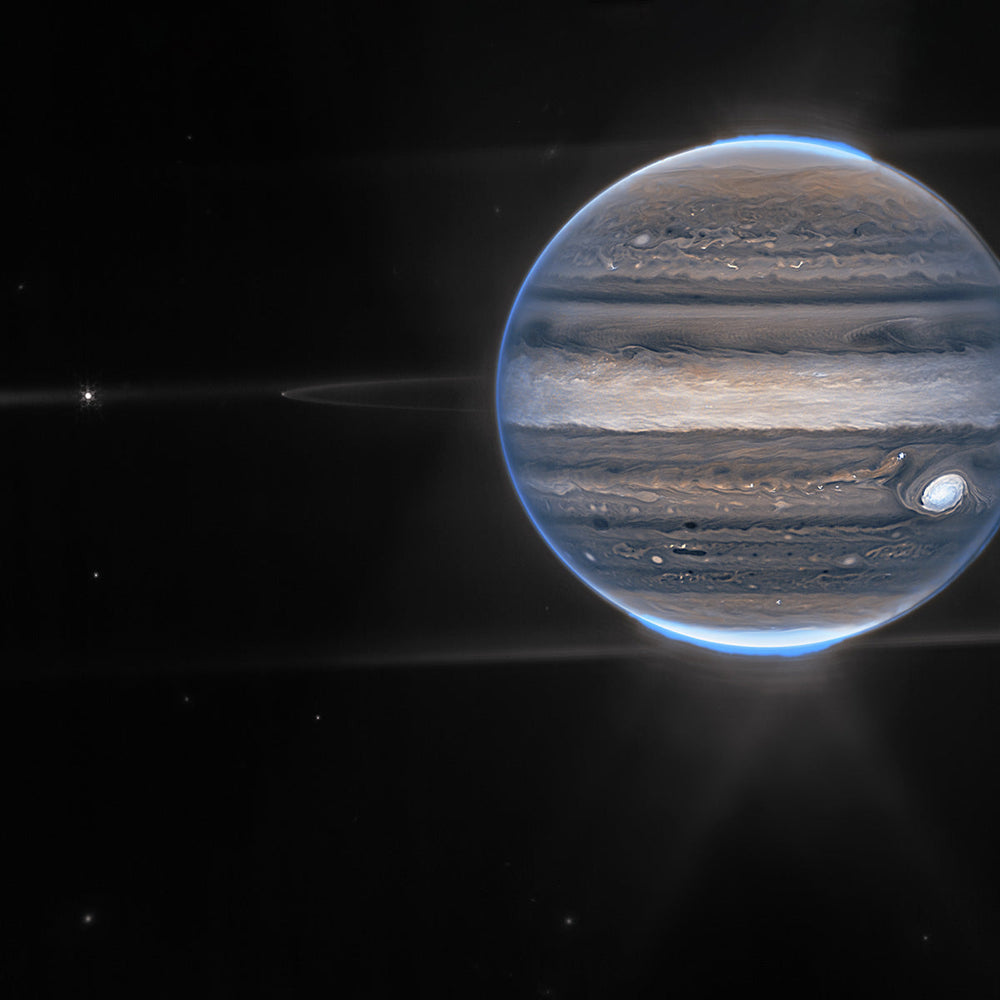 The Polar Auroras of Jupiter