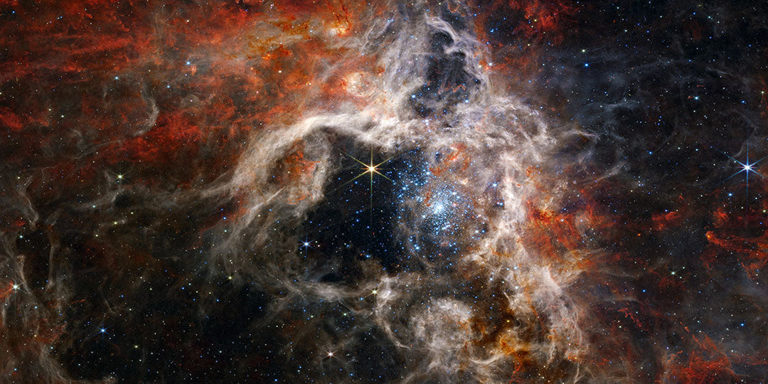 JWST Tarantula Panorama
