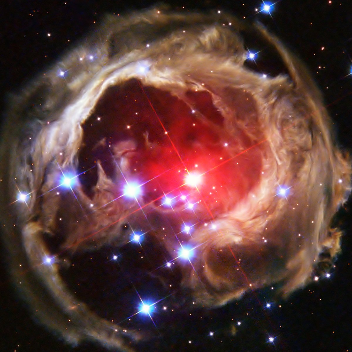 Starry Night Nebula - Buy Christmas Tree Nebula - Sky Image Lab