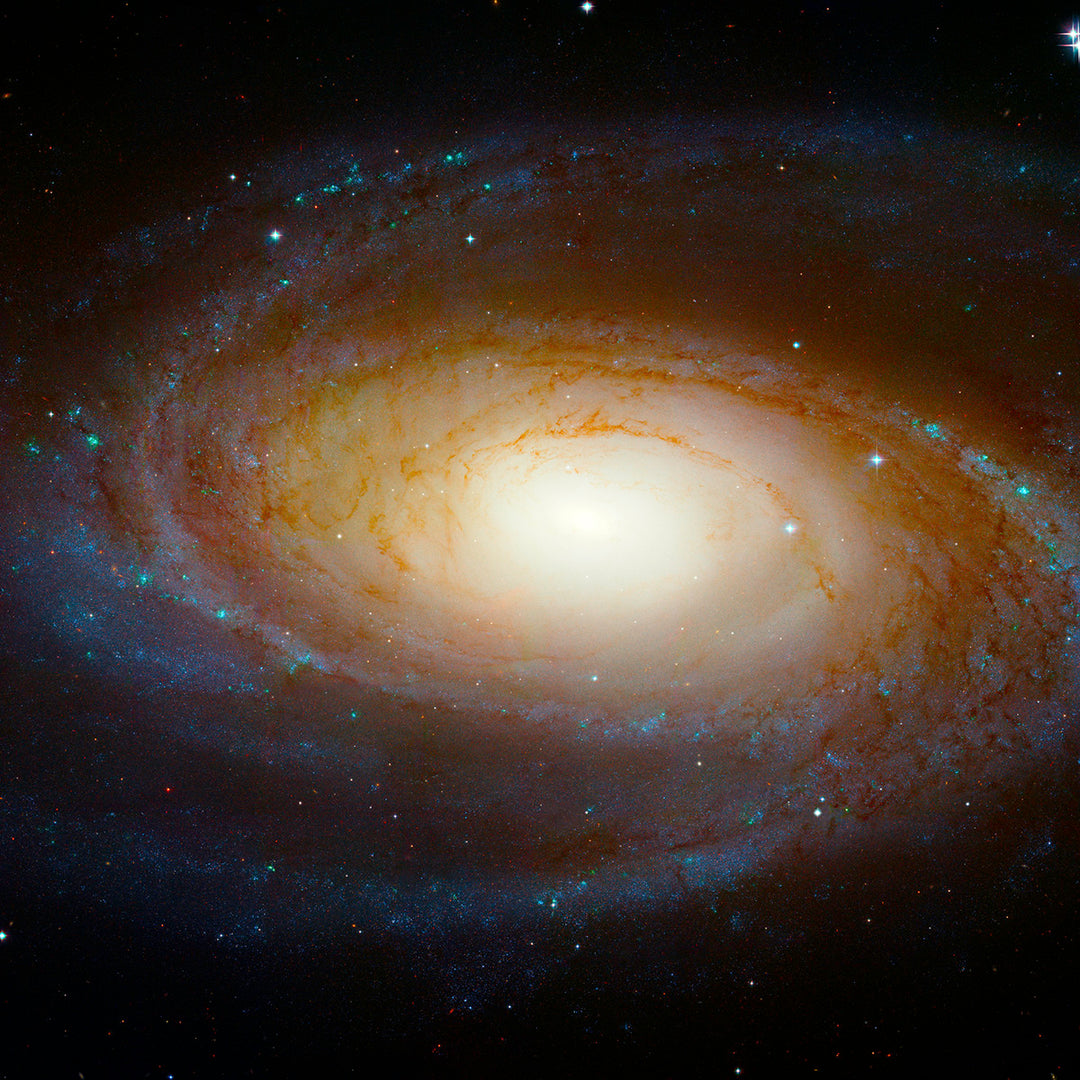 M81 Spiral Galaxy - high resolution space images - Sky Image Lab