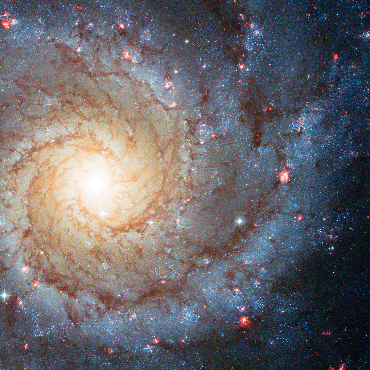 M74 Perfect Spiral - high resolution space images - Sky Image Lab