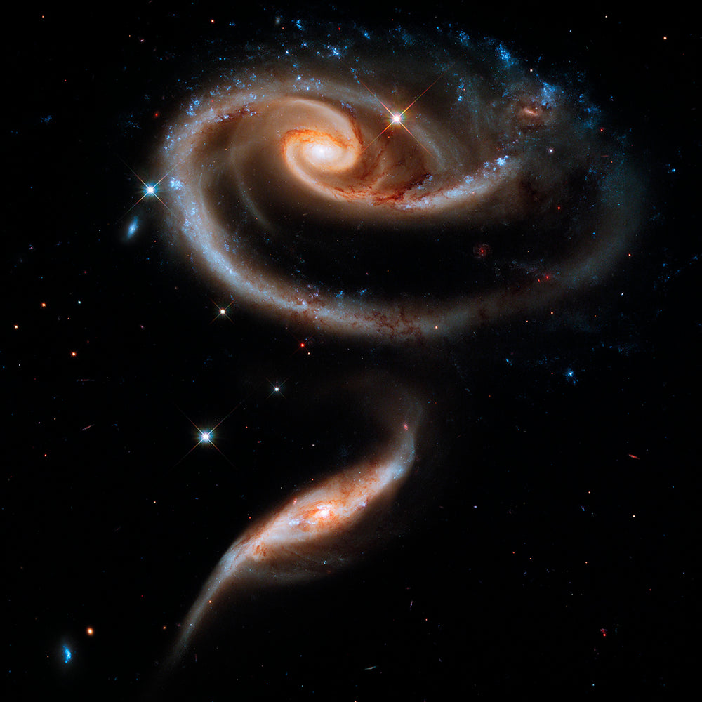 A Rose of Galaxies - Buy Galaxy Flower Print - high resolution space images - Sky Image Lab