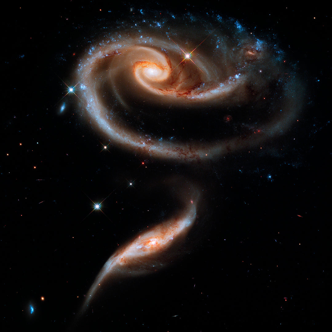 A Rose of Galaxies - Buy Galaxy Flower Print - high resolution space images - Sky Image Lab