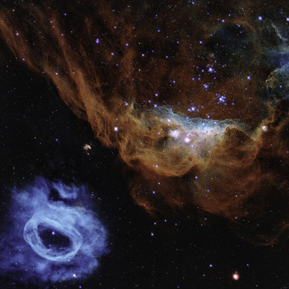 Hubble Cosmic Reef