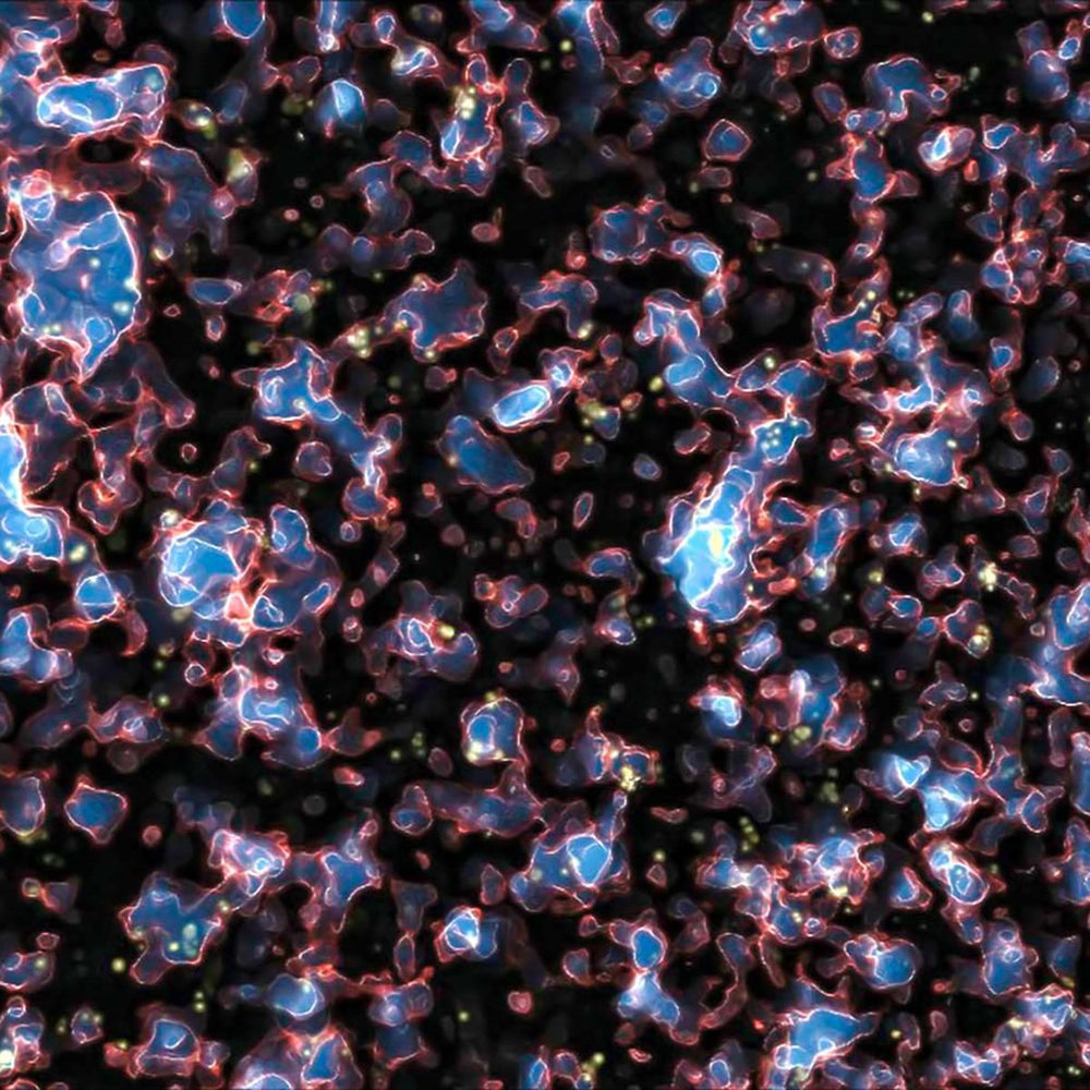 The Farthest Galaxy